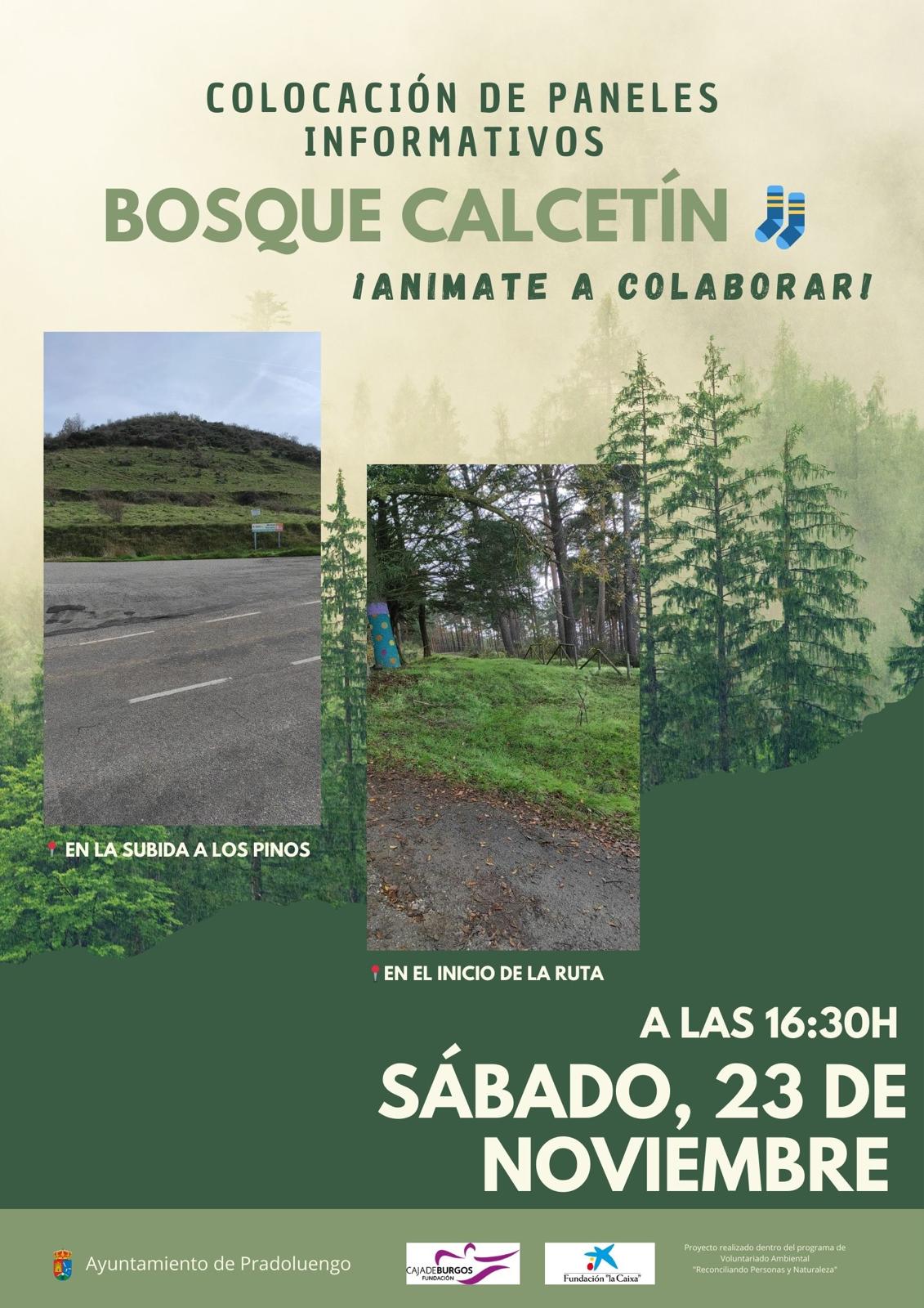 BOSQUE CALCETÍN - COLOCACIÓN DE PANELES INFORMATIVOS