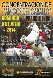 VI Concentración de Amigos del Caballo 2014
